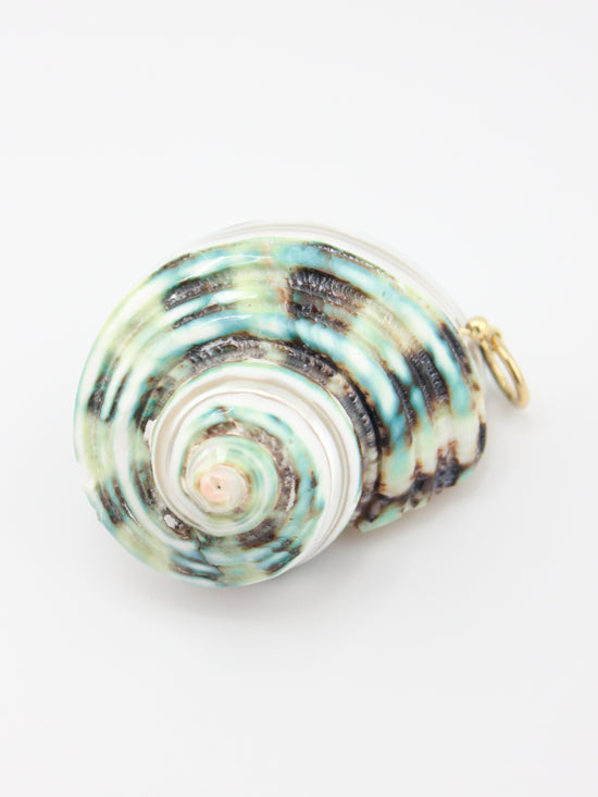 Green Shell Charm