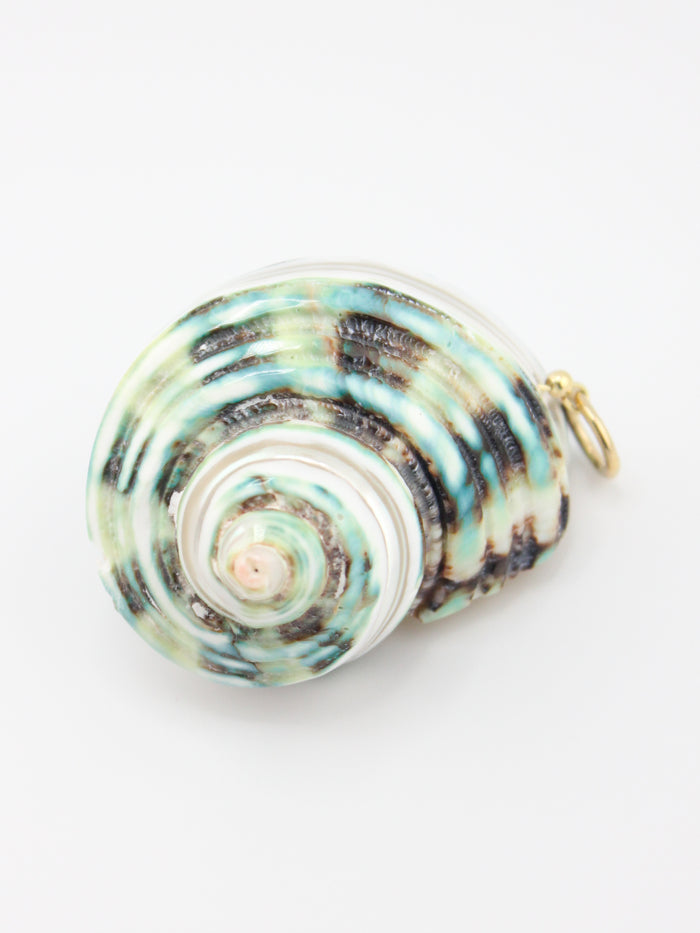 The Coastal Shell Necklace